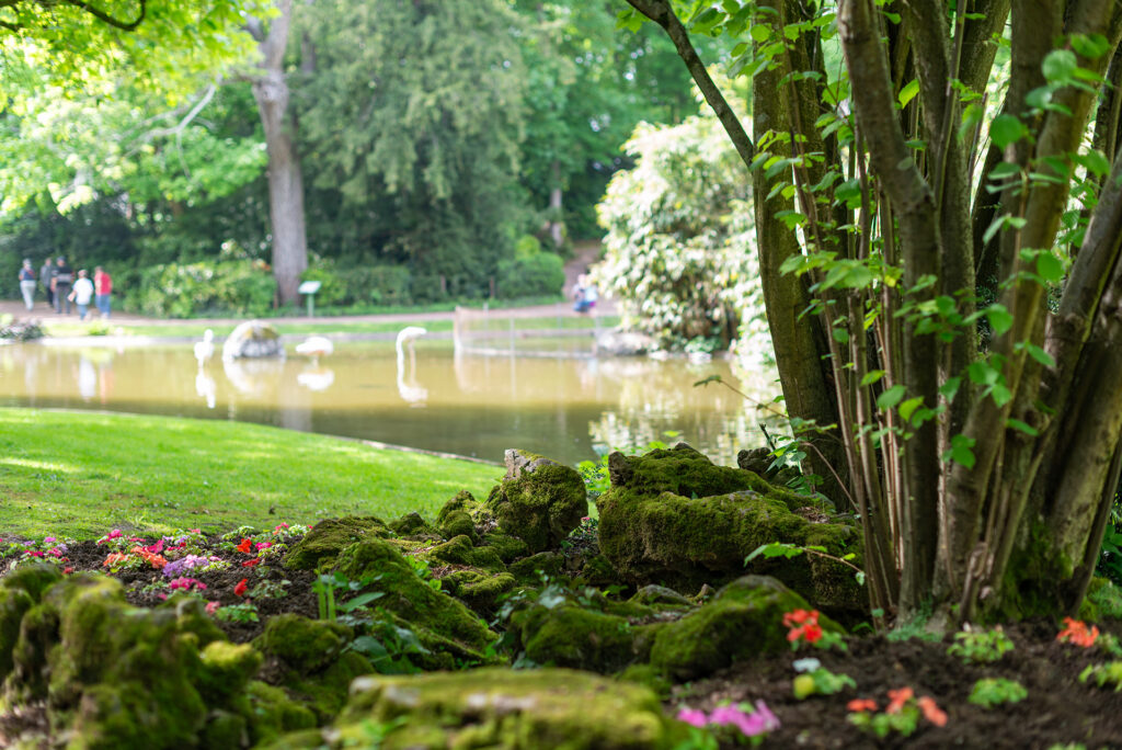 Jardin Dumaine à Luçon